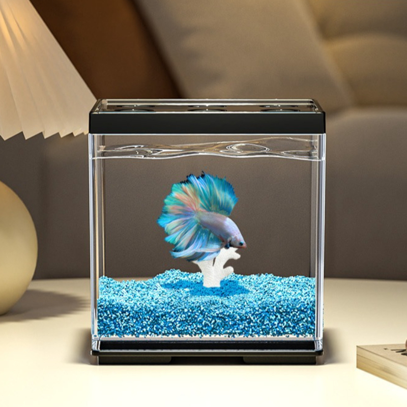 Aquarium Fish In Bowl - Desktop Betta Tank Small Landscaping Fish
