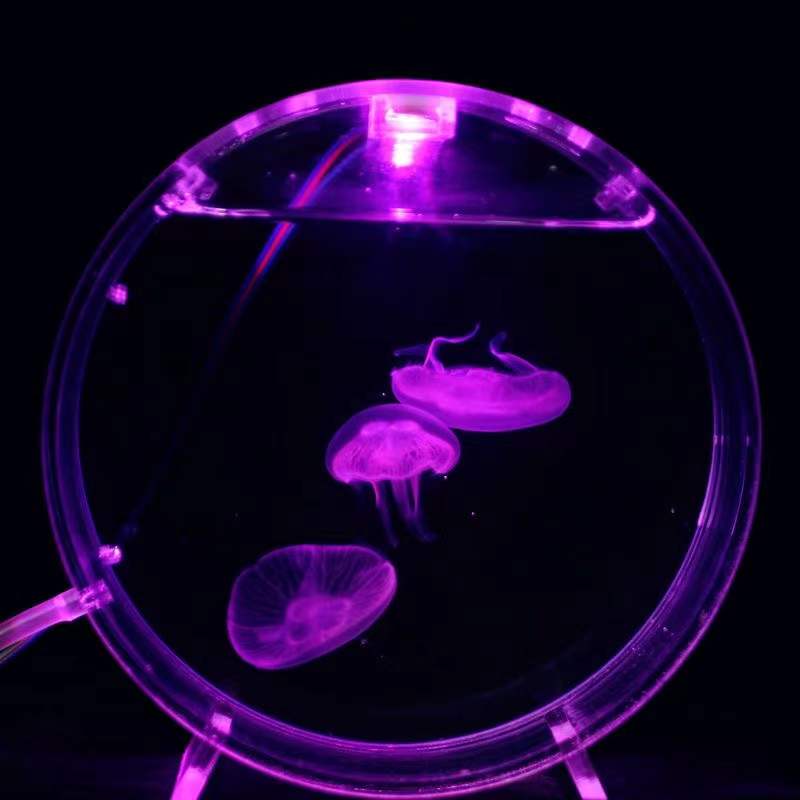 Aquarium Fish In Bowl - Aquarium desktop jellyfish tank starfish mini