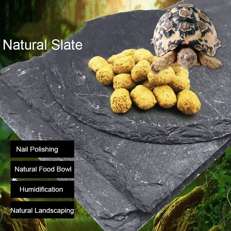 Aquarium Fish In Bowl - Natural Slate Aquarium Pet Reptile Feeder