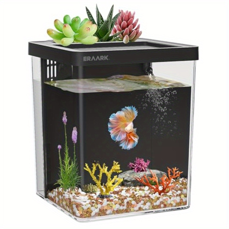 Aquarium Fish For Beginners - Office/Home Desktop Aquarium With Filter Beginner