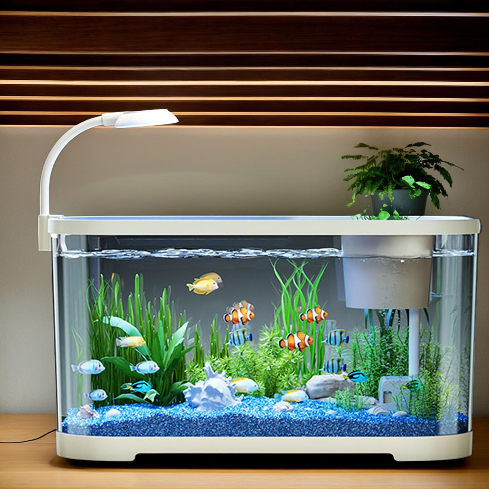 Aquarium Fish In Bowl - Aquarium Kit Starter Betta Fish Tank