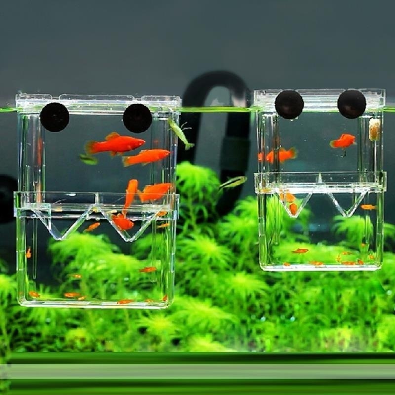 Aquarium Fish In Bowl - Multifunctional Fish Aquarium High Clear Fish