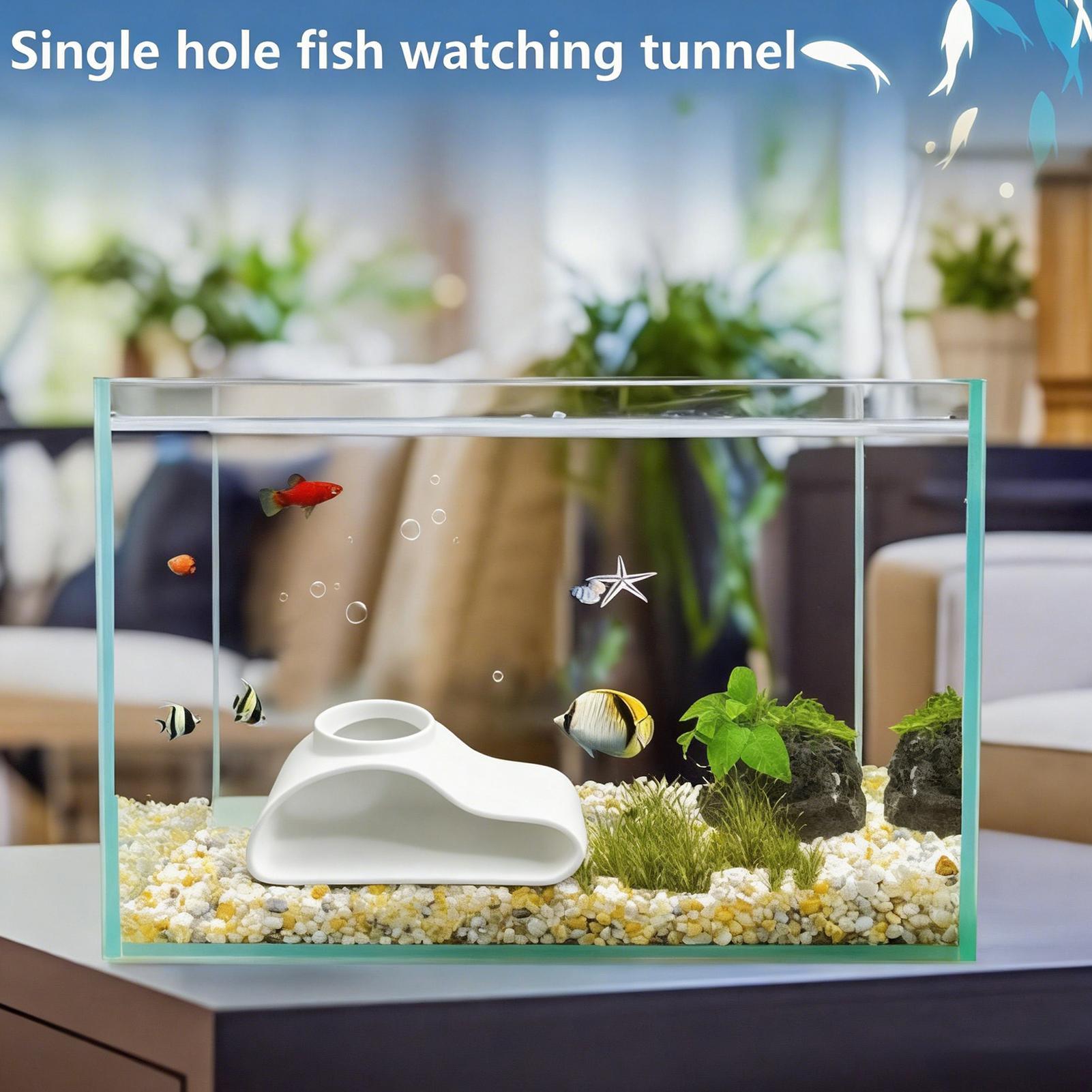 Aquarium Fish For Beginners - Aquarium Underground Tunnel Cave Natural Curve