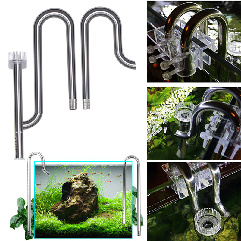 Aquarium Fish For Beginners - New Fish Tank Lily Pipe Stainless