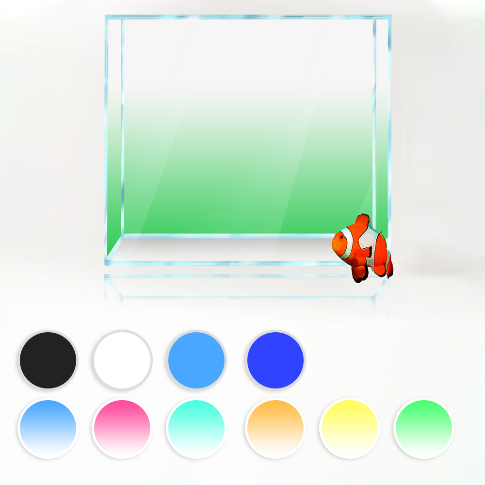 Aquarium Fish Yellow And Black - Square Fish Tank Background White Yellow