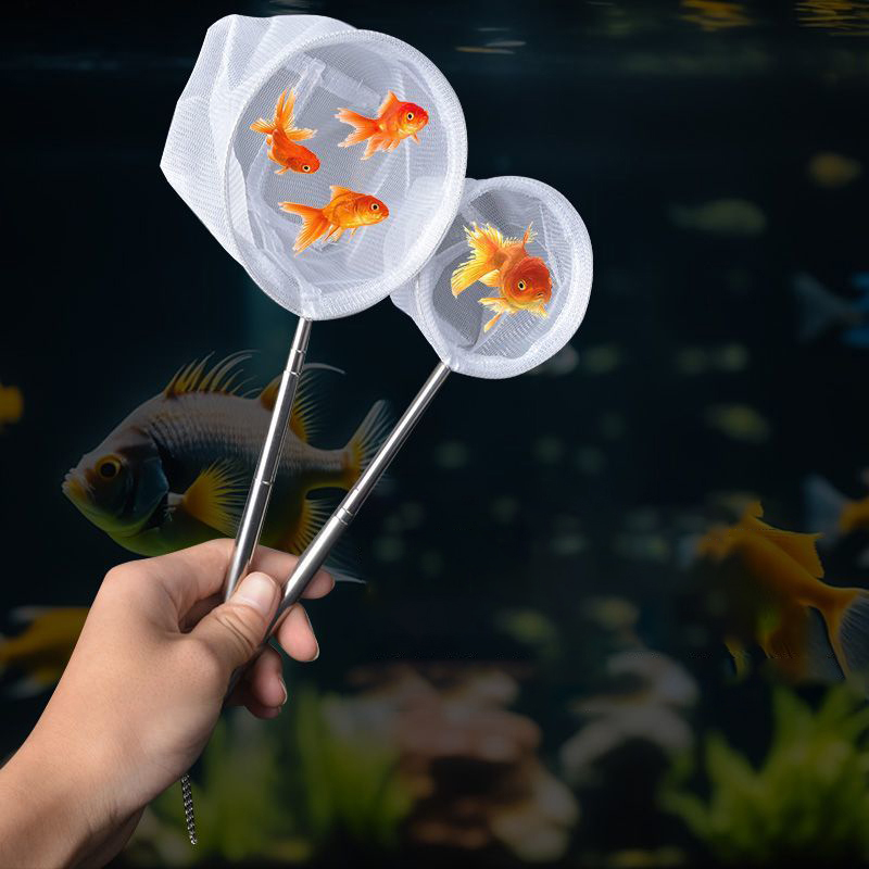 (BF06)Aquarium Fish Fishing Ne - Aquarium Fish Maintenance review and price