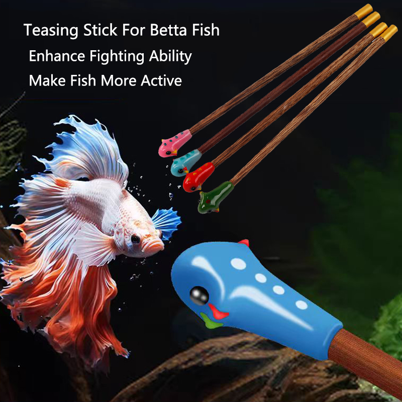 Aquarium Betta Training Wand W - Aquarium Fish For Beginners review and price