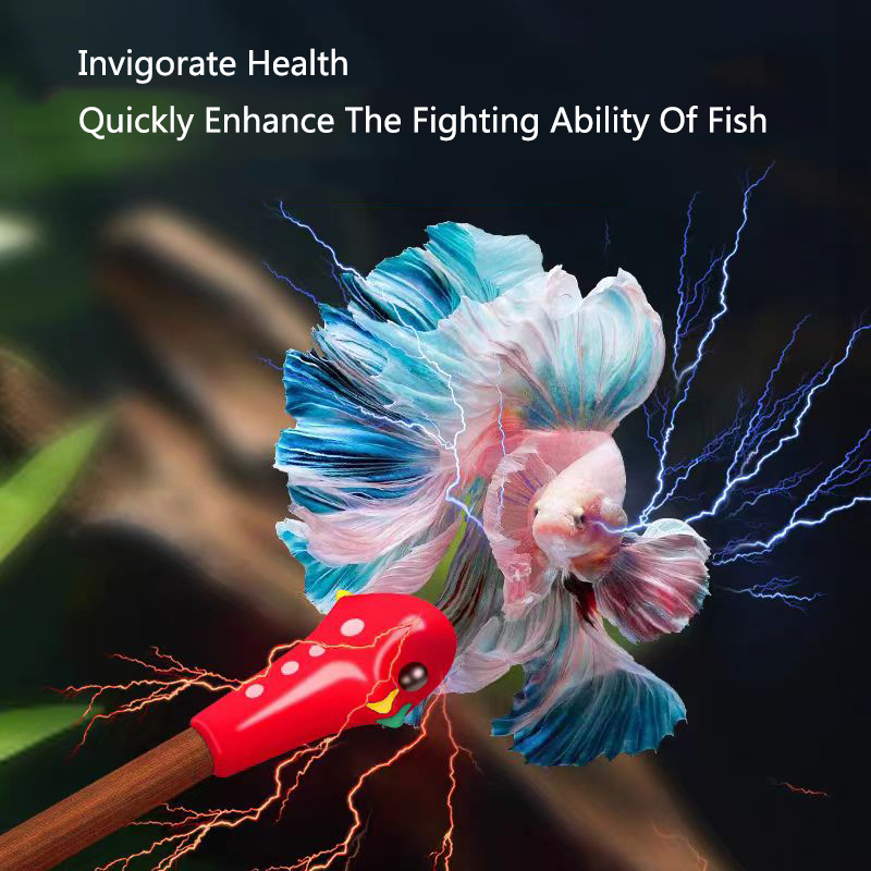 Aquarium Betta Training Wand W - Aquarium Fish For Beginners review and price