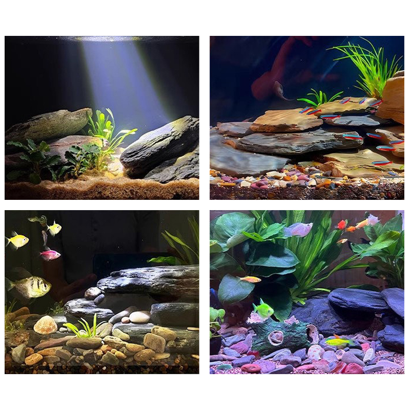500/1000g Fish Tank Landscape  - Aquarium Fish Land review and price