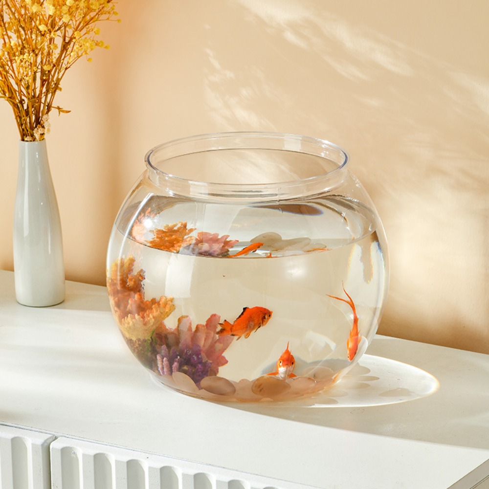 Home Decor Clear Transparent R - Live Fish Aquarium review and price