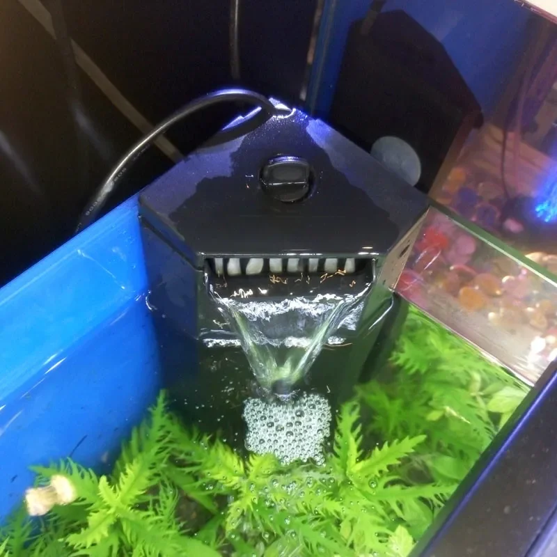 1 piece NEW internal filter fo - Aquarium Fish For Beginners review and price