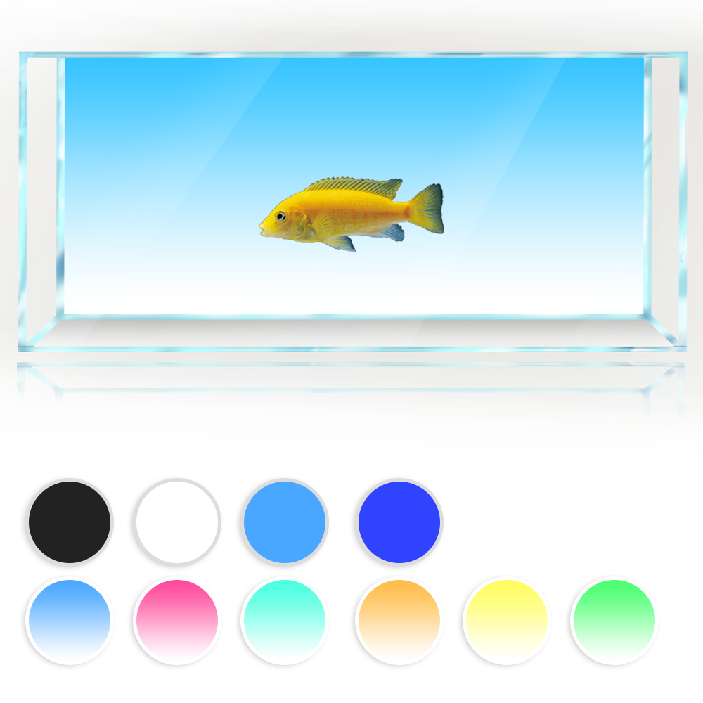 Fish Tank Background White Yel - Aquarium Fish Yellow And Black review and price