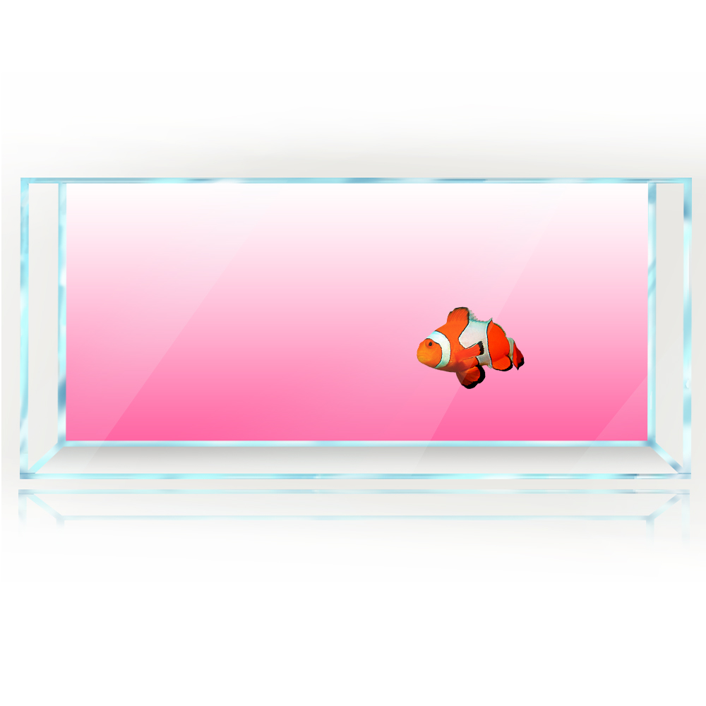 Fish Tank Background White Yel - Aquarium Fish Yellow And Black review and price