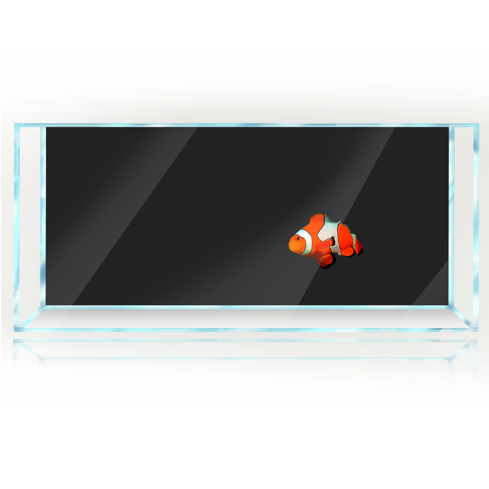 Fish Tank Background White Yel - Aquarium Fish Yellow And Black review and price