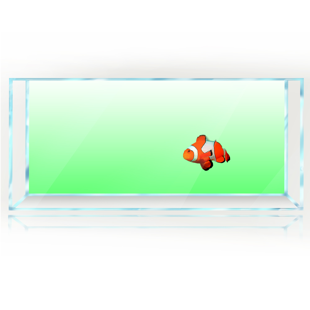 Fish Tank Background White Yel - Aquarium Fish Yellow And Black review and price