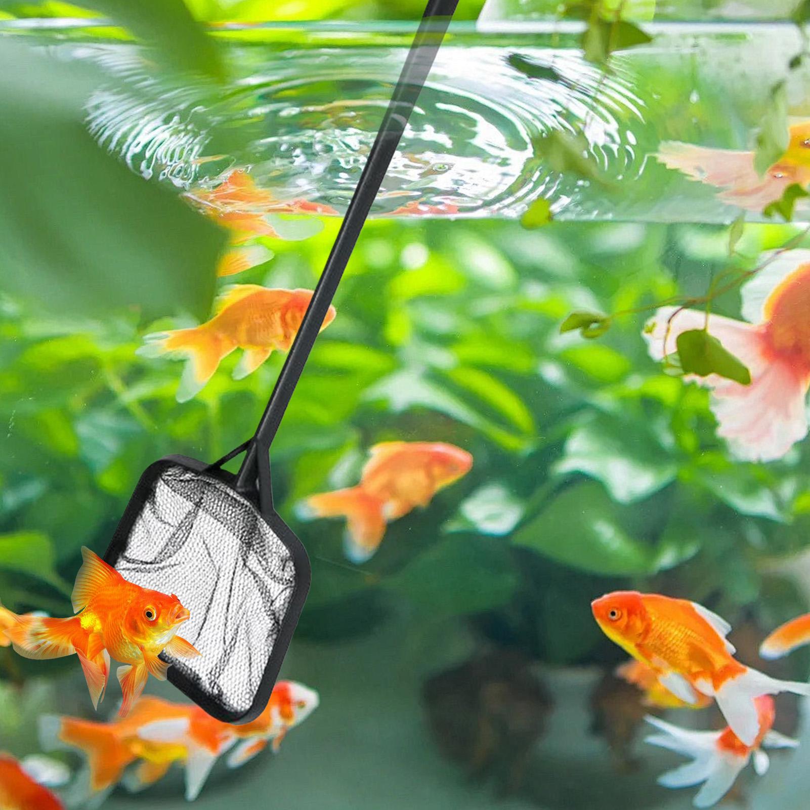 Pool Nets for Cleaning Portabl - Aquarium Fishing review and price