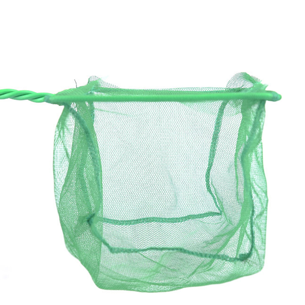 3Pcs 6 Inch Lightweight Fish L - Aquarium Fishland review and price