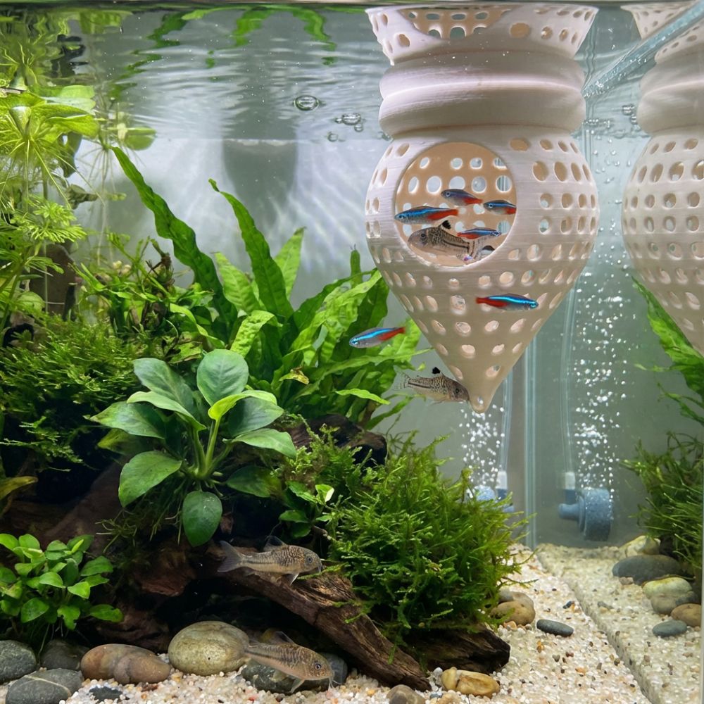 3D Printed Floating Fish Hammo - Aquarium Fish Cave review and price