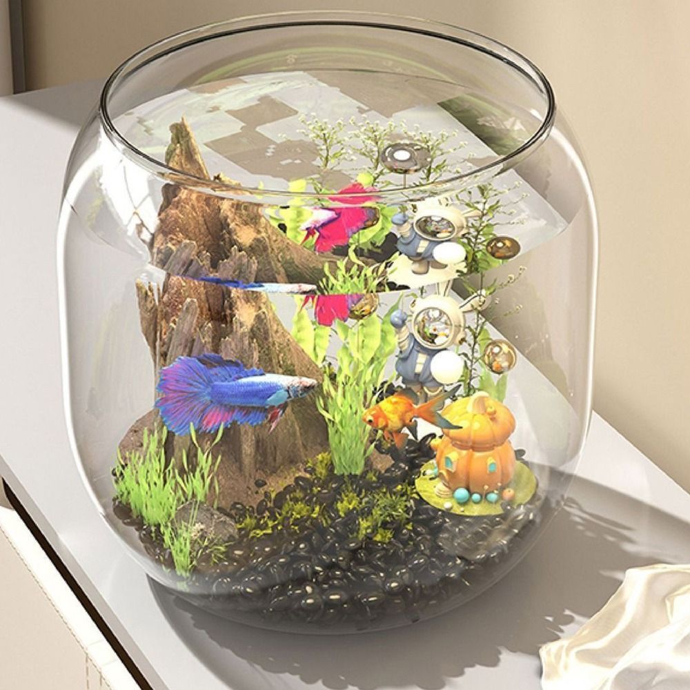 Transparent Round Fish Tank An - Live Fish Aquarium review and price