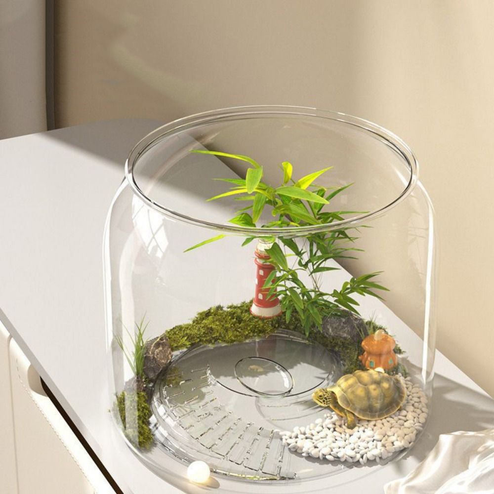 Transparent Round Fish Tank An - Live Fish Aquarium review and price