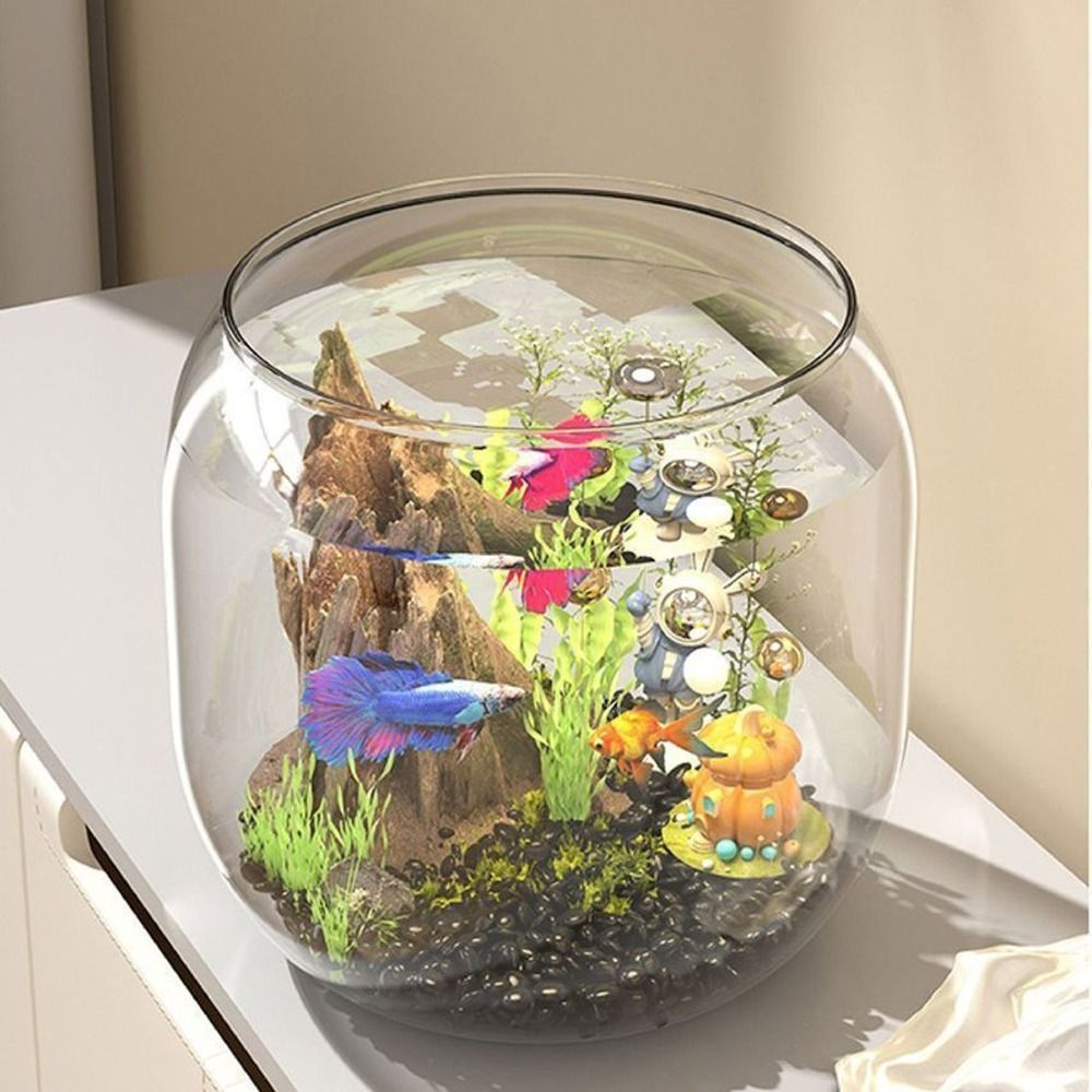 Transparent Round Fish Tank An - Live Fish Aquarium review and price