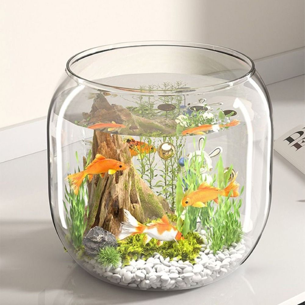 Transparent Round Fish Tank An - Live Fish Aquarium review and price