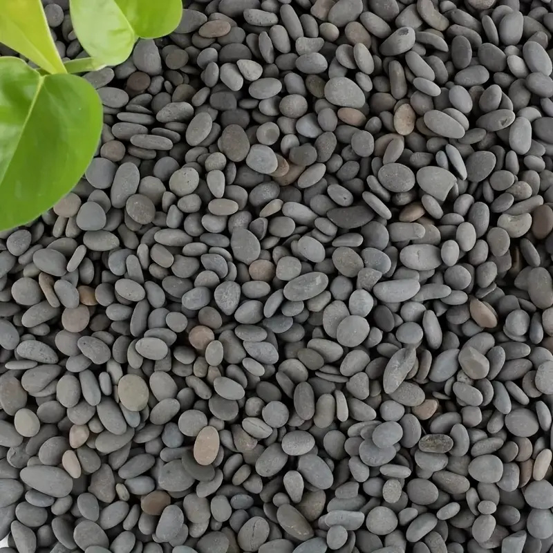 20Pcs Natural River Rocks Smoo - Aquarium Fish Land review and price
