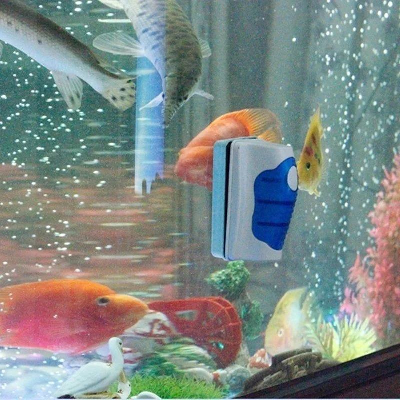 Fish Tank Glass Scraper Cleane - Aquarium Fish Maintenance review and price