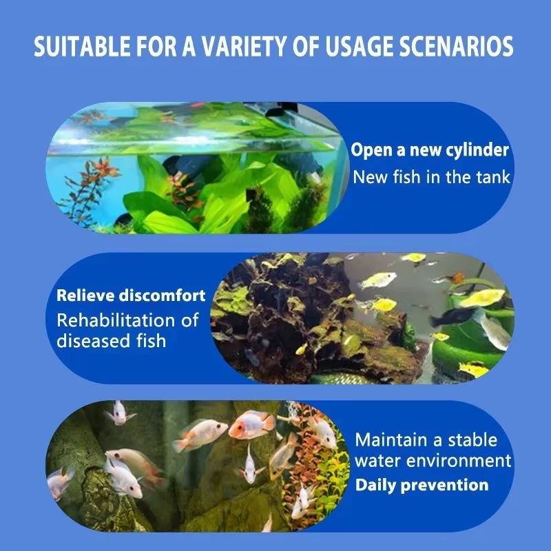 SIKEZHAN Fish Disease Treatmen - Aquarium Fish Freshwater review and price