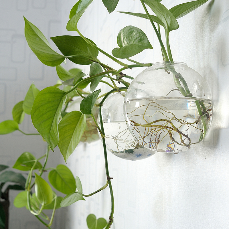Wall Hanging Acrylic Fish Bowl - Aquarium Fish In Bowl review and price