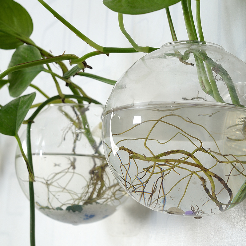Wall Hanging Acrylic Fish Bowl - Aquarium Fish In Bowl review and price