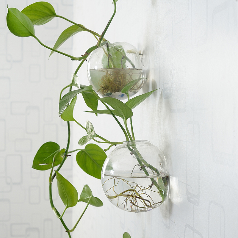 Wall Hanging Acrylic Fish Bowl - Aquarium Fish In Bowl review and price