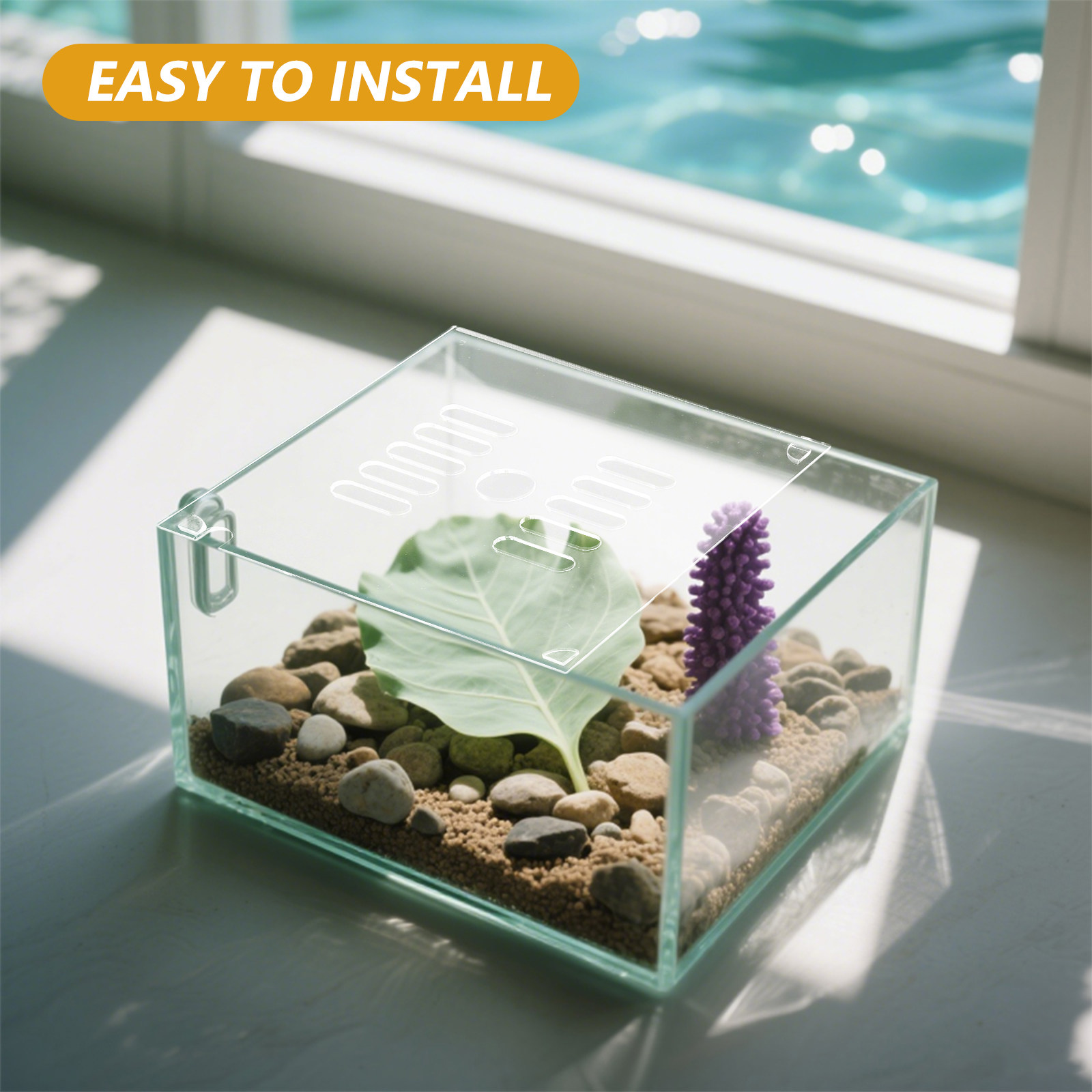 2Pcs Circular Acrylic Aquarium - Aquarium Fish In Bowl review and price