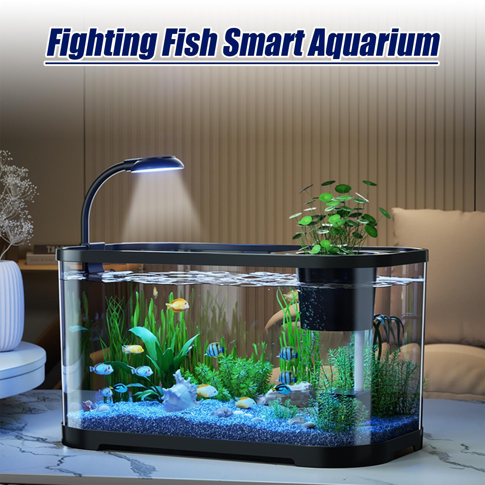 Aquarium Kit Starter Betta Fis - Aquarium Fish In Bowl review and price