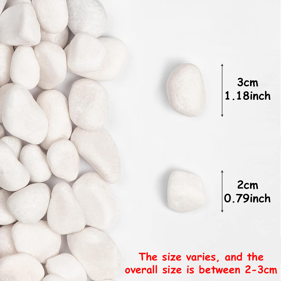 200/400g White High Polished N - Aquarium Fish Land review and price