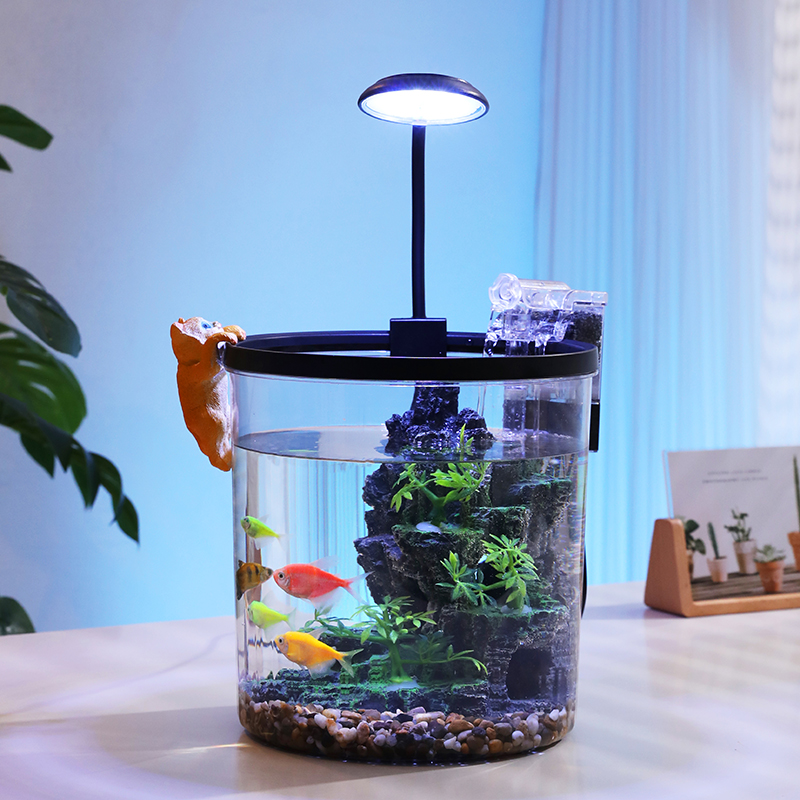 Compact Round Goldfish Bowl -  - Aquarium Fish In Bowl review and price