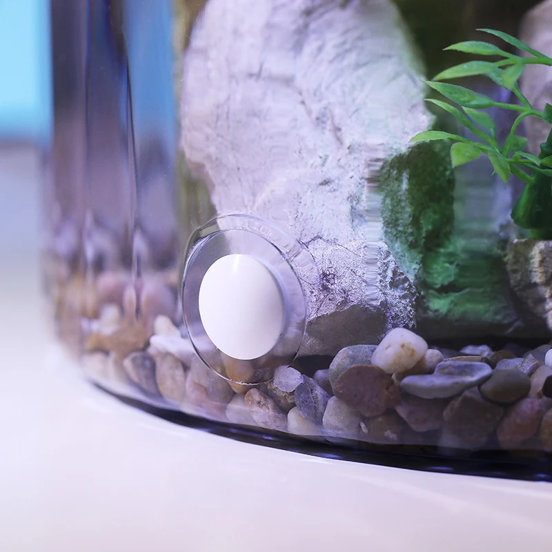 Compact Round Goldfish Bowl -  - Aquarium Fish In Bowl review and price