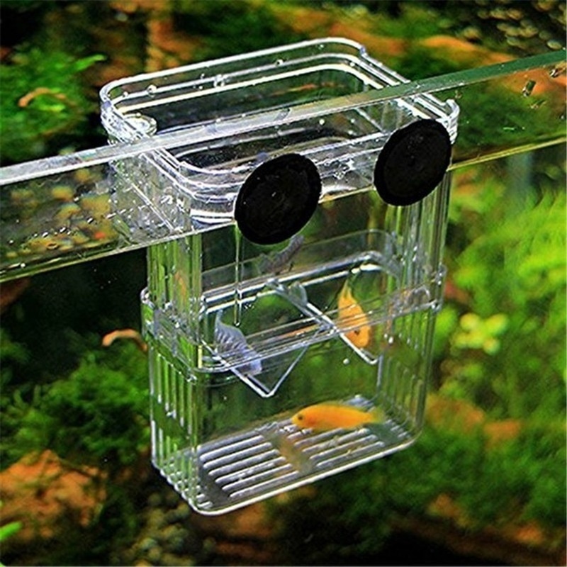 Multifunctional Fish Aquarium  - Aquarium Fish In Bowl review and price