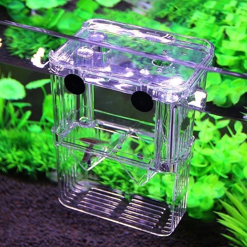 Multifunctional Fish Aquarium  - Aquarium Fish In Bowl review and price