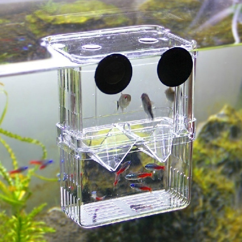 Multifunctional Fish Aquarium  - Aquarium Fish In Bowl review and price