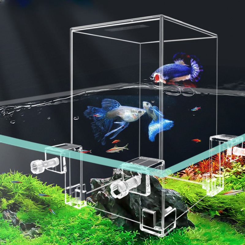 Creative Aquarium Tanks Negati - Aquarium Fish In Bowl review and price