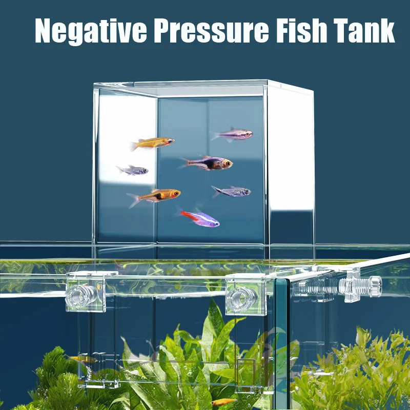 Creative Aquarium Tanks Negati - Aquarium Fish In Bowl review and price