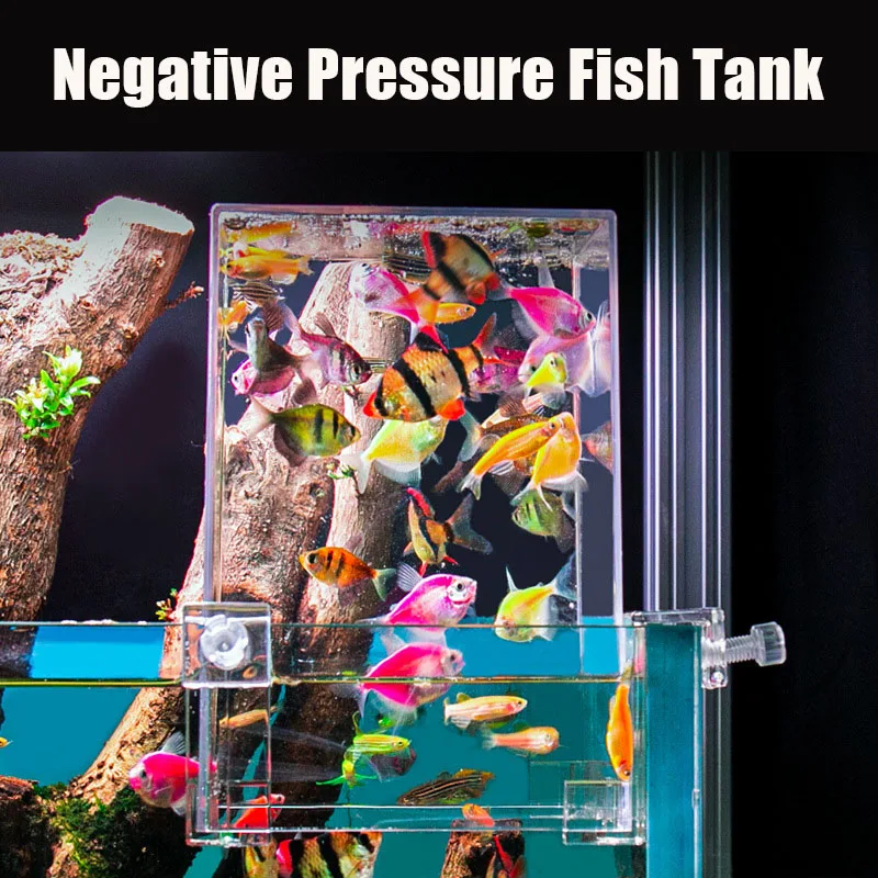 Creative Aquarium Tanks Negati - Aquarium Fish In Bowl review and price