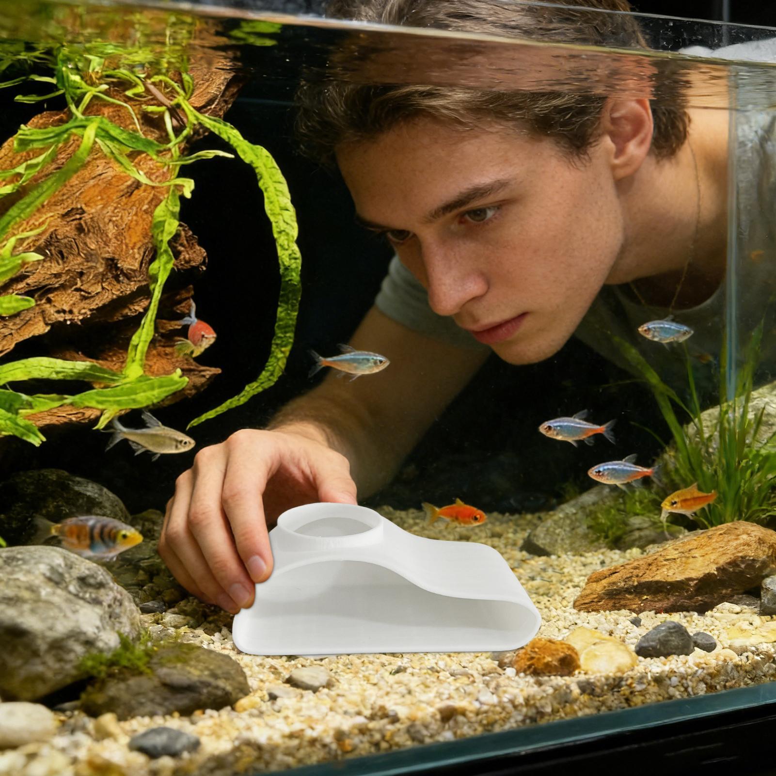 Aquarium Underground Tunnel Ca - Aquarium Fish For Beginners review and price