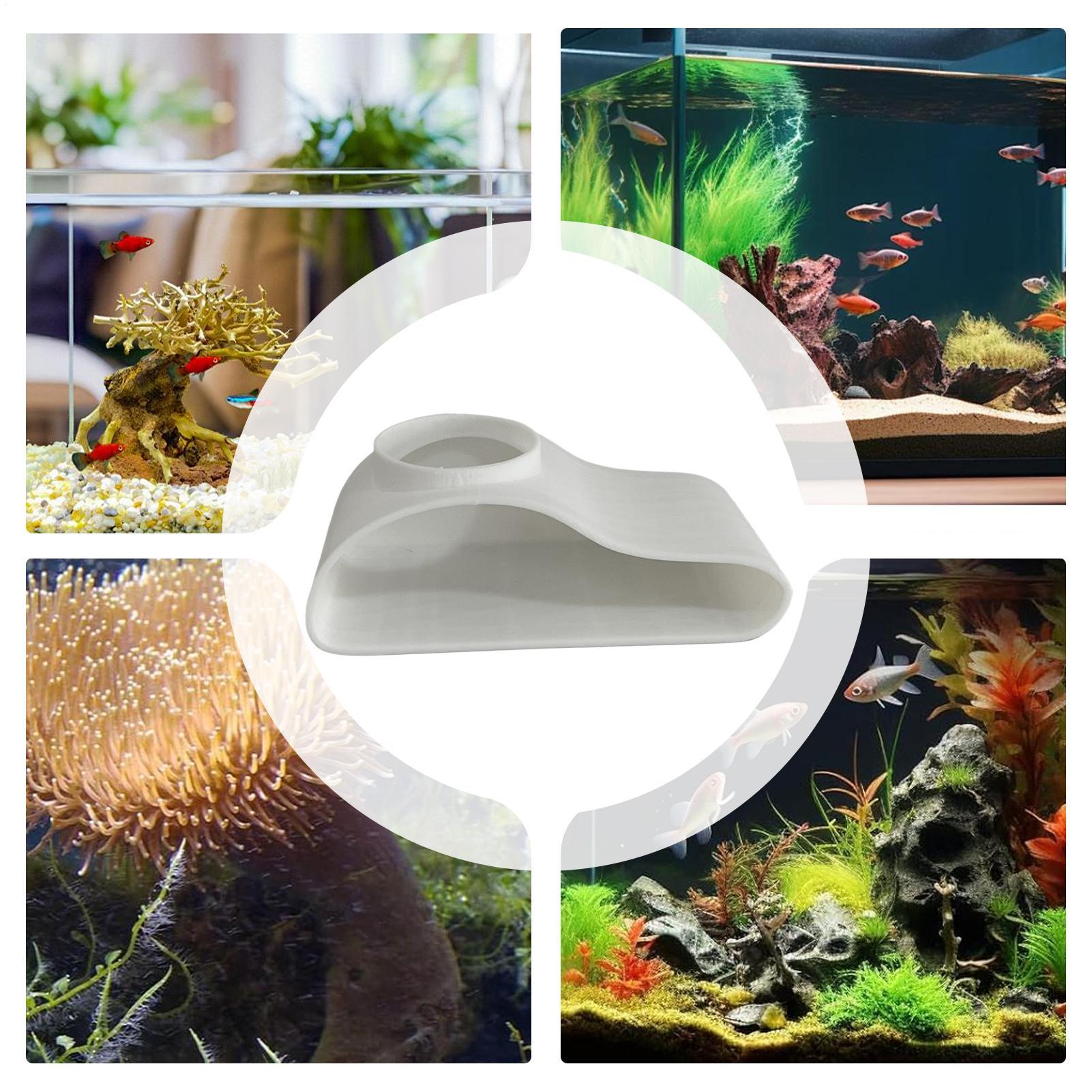 Aquarium Underground Tunnel Ca - Aquarium Fish For Beginners review and price