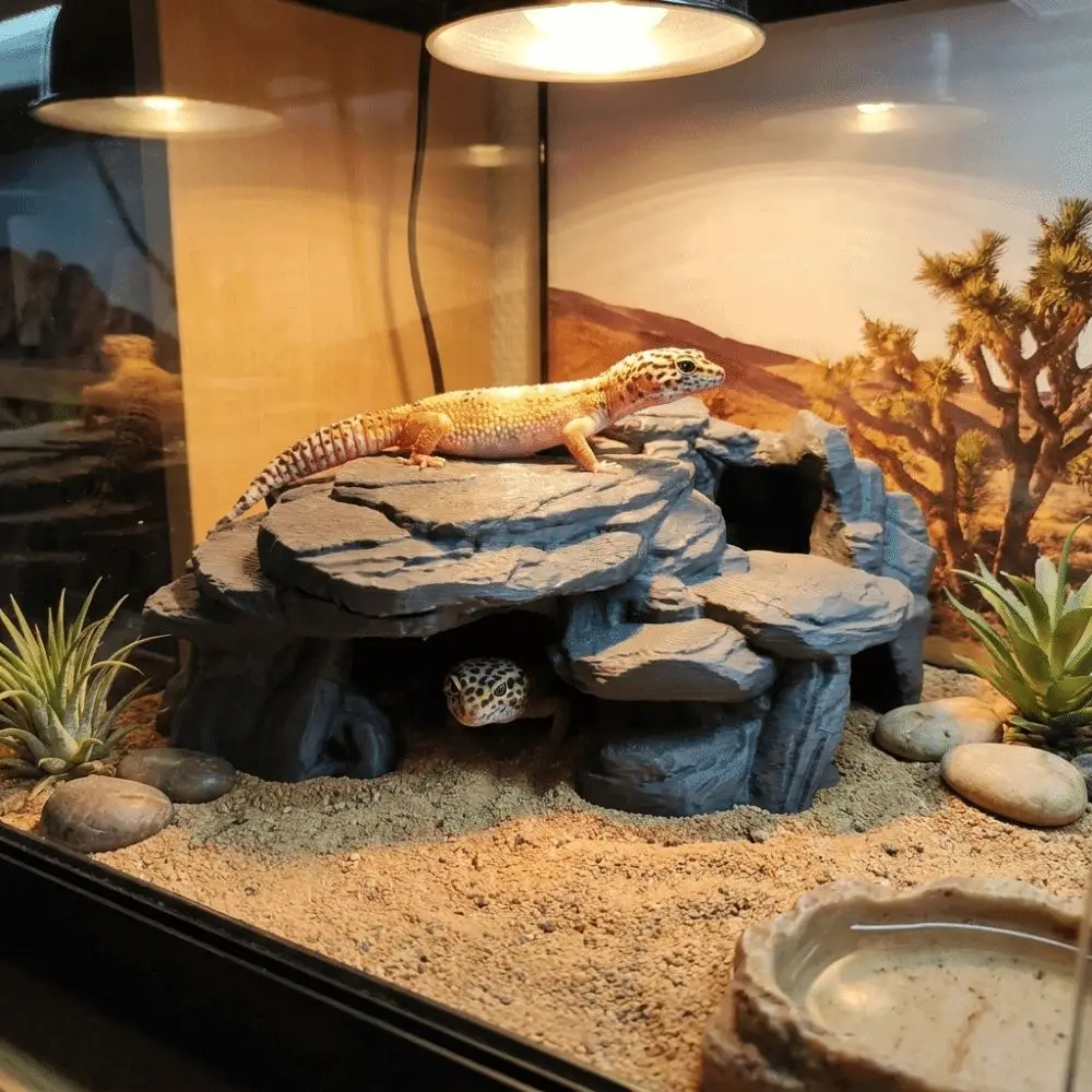 3D Printing Fish Tank Rockery  - Aquarium Fish Cave review and price