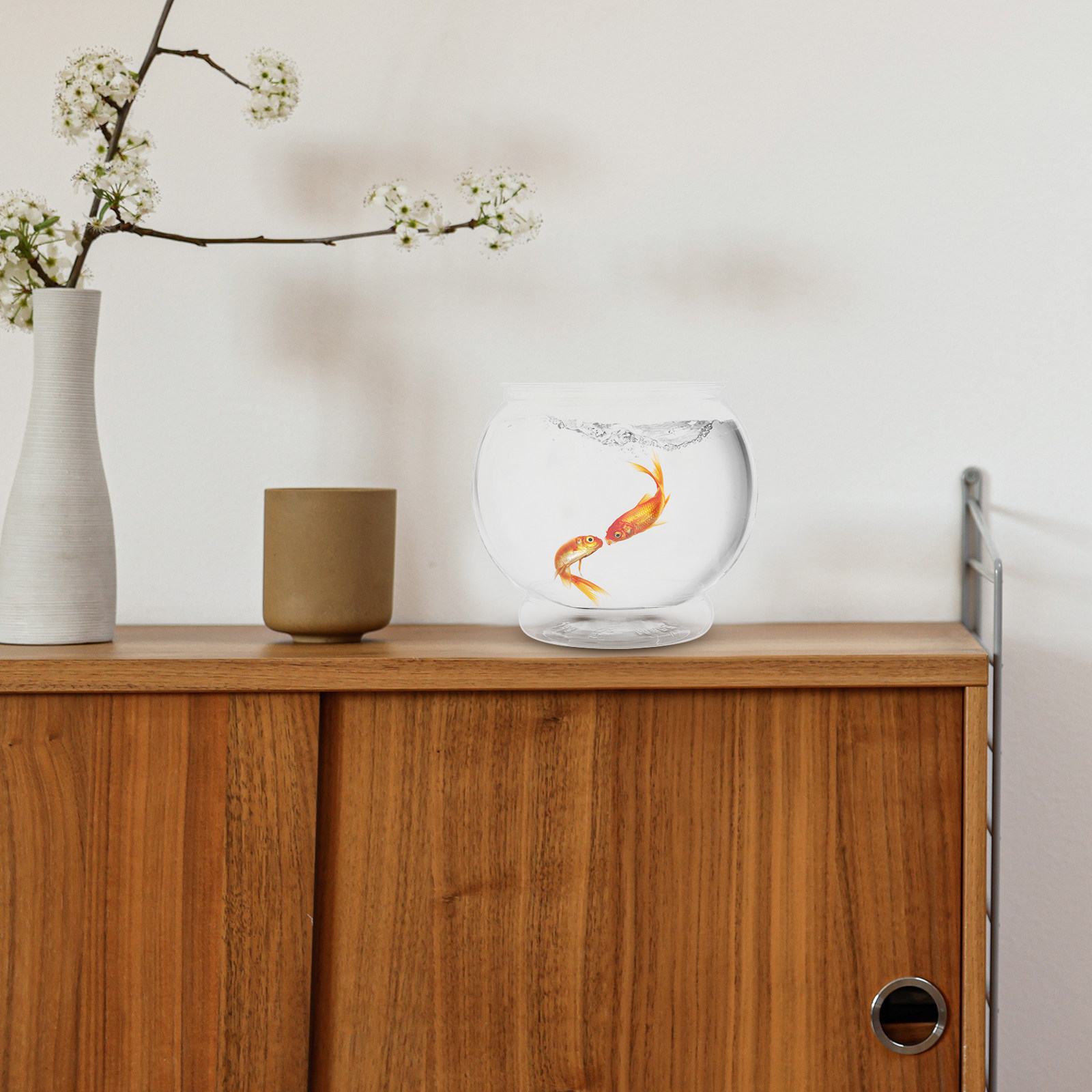 Transparent Plastic Fish Bowl  - Aquarium Fish In Bowl review and price