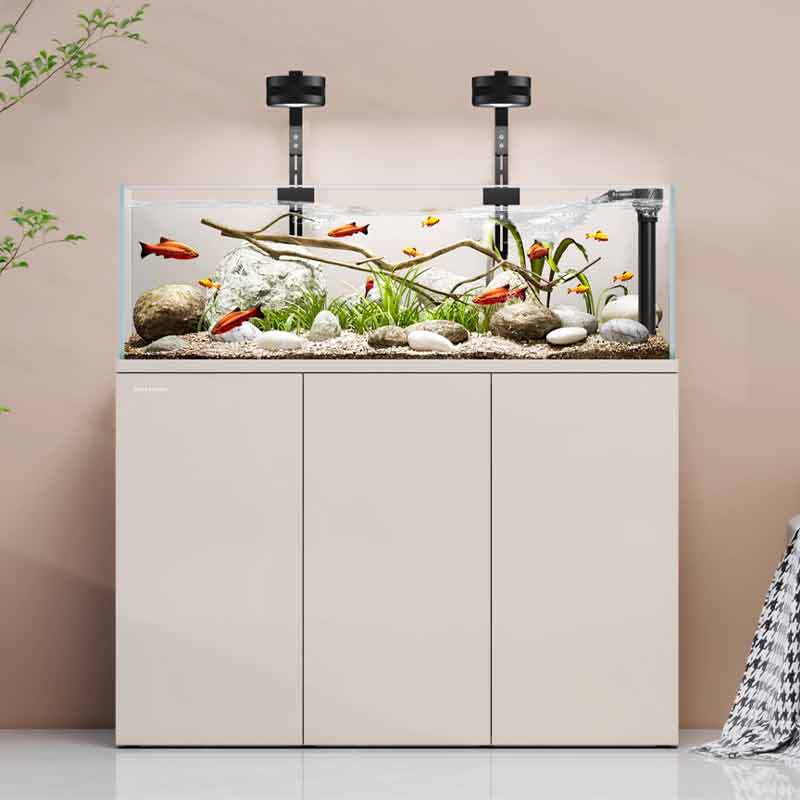 Minjiang stream tank landscapi - Live Fish Aquarium review and price