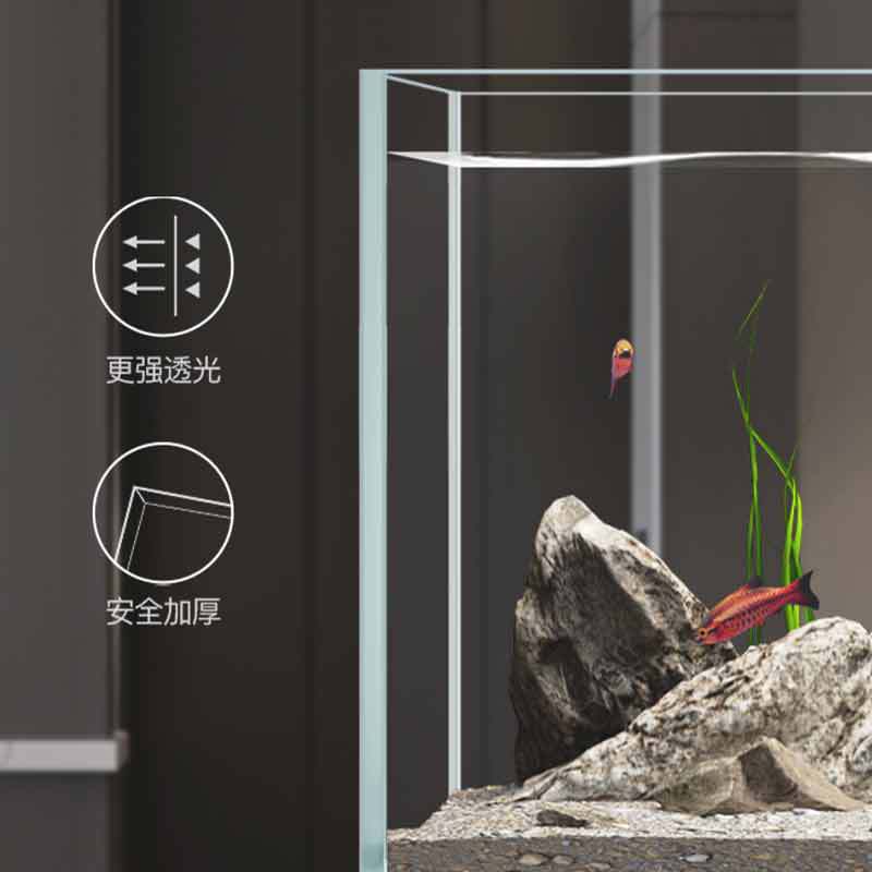 Minjiang stream tank landscapi - Live Fish Aquarium review and price