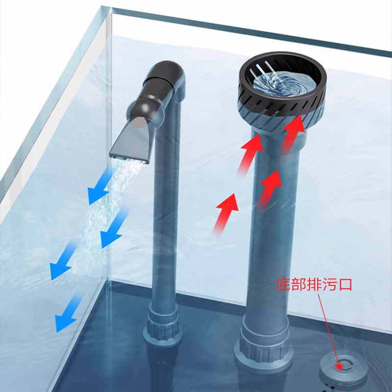 Minjiang stream tank landscapi - Live Fish Aquarium review and price
